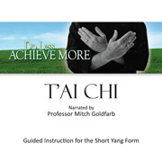 Mitch Goldfarb - Two-time Grammy Nominee, Producer, Songwriter, Tai Chi & Mindfulness Instructor, Author & Professor - Mitch Goldfarb Tai Chi - Do Less Achieve More