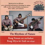Mitch Goldfarb - Two-time Grammy Nominee, Producer, Songwriter, Tai Chi & Mindfulness Instructor, Author & Professor - Shafaatullah - The Rhythms of Nature - Raag Yeman
