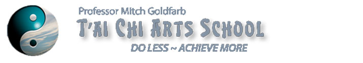 Mitch Goldfarb - Tai Chi Arts School in Downingtown, Exton, West Chester PA